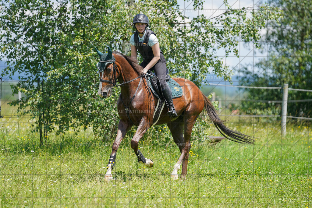 20240622-FAH07090 | Turnierfotografen Bayern, Reitsportbilder aus dem Geländekurs mit Felix Etzel auf dem Gut Waitzacker 2024
