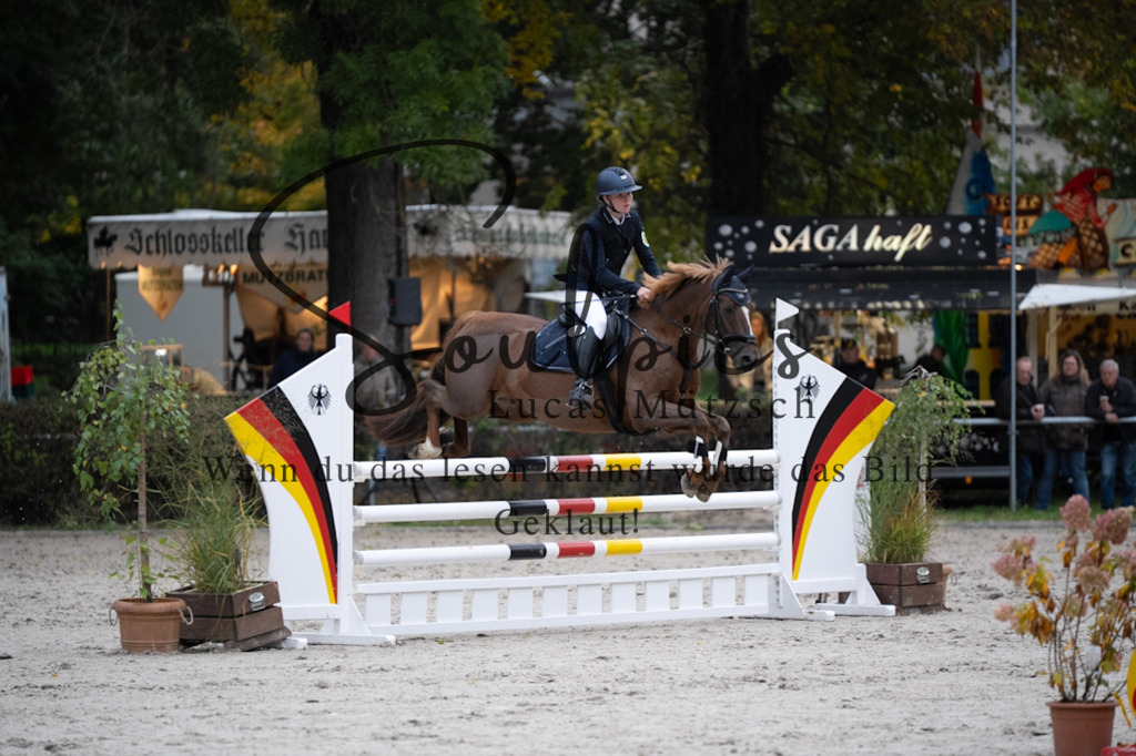 A7V08679 | Pferdefotograf