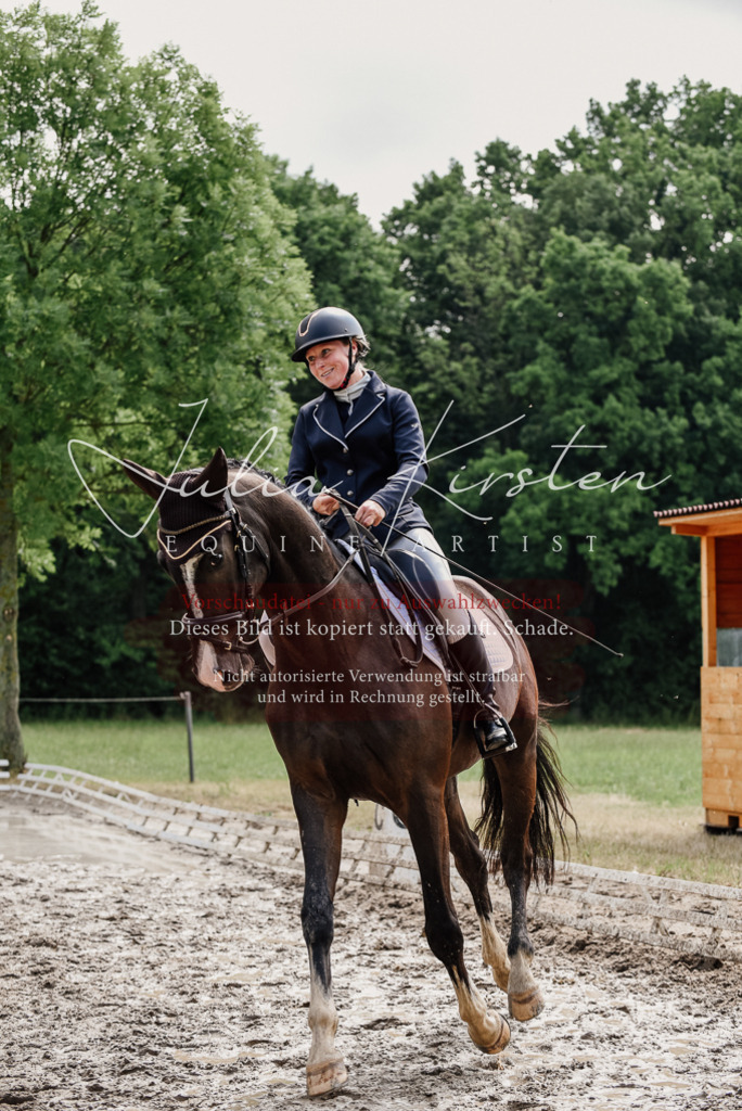 DSC_0076 | Pferde- und Turnierfotografie in Westsachsen. Pferdeportraits, Auftragszeichnungen und intuitive Kunst.