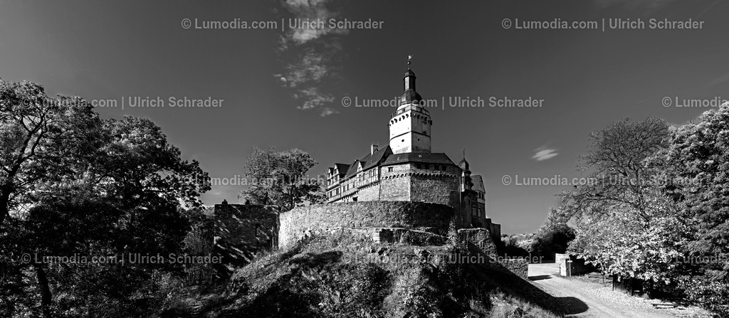 10049-13853 - Burg Falkenstein im Harz | Stockfoto und Bilderpool mit Bildmaterial aus Deutschland, dem Harz, Halberstadt, Quedlinburg, Wernigerode und weltweit. Qualitativ hochwertige und professionelle Fotos anschauen und kaufen. - Realisiert mit Pictrs.com