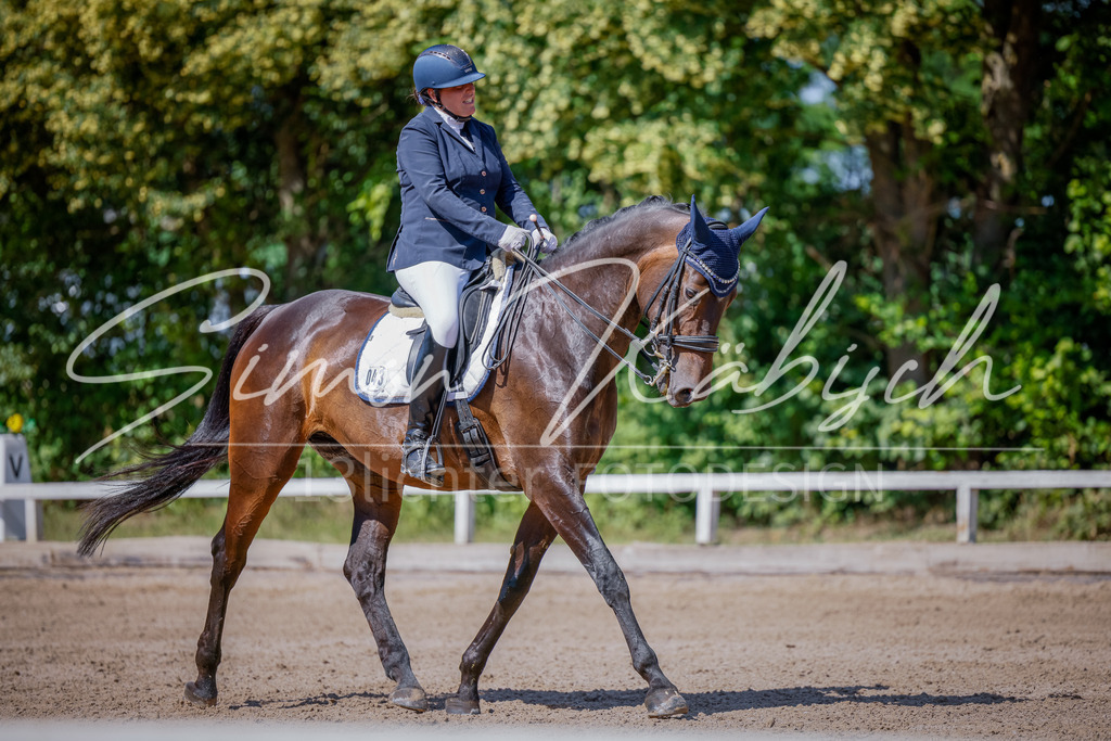 20250621-_3LI9474 | Tierfotografie Pferde, Hunde, Katzen, Haustiere.
Turnierfotografie Reitturniere, Reiten, Springreiten, Dressur in Hanau, dem Main-Kinzig-Kreis und dem Rhein-Main- Gebiet um Frankfurt