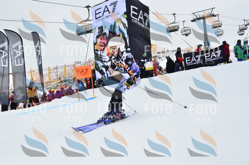 _ELE3143 | holidayphoto