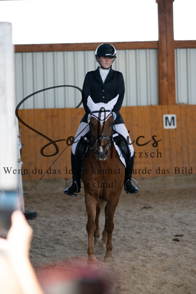 A7V02116 | Turnier/Reitfotograf