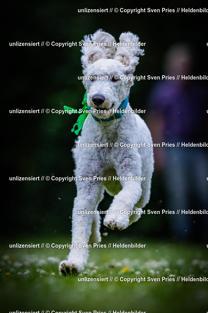 Sven Pries | 2025-05-29 - Pudelrennen KA-Durlach - Realisiert mit Pictrs.com