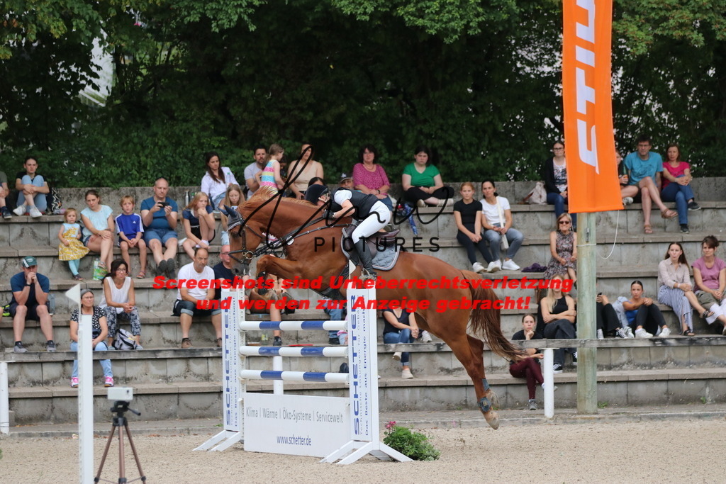 IMG_2932 | lmwpictures - Realisiert mit Pictrs.com