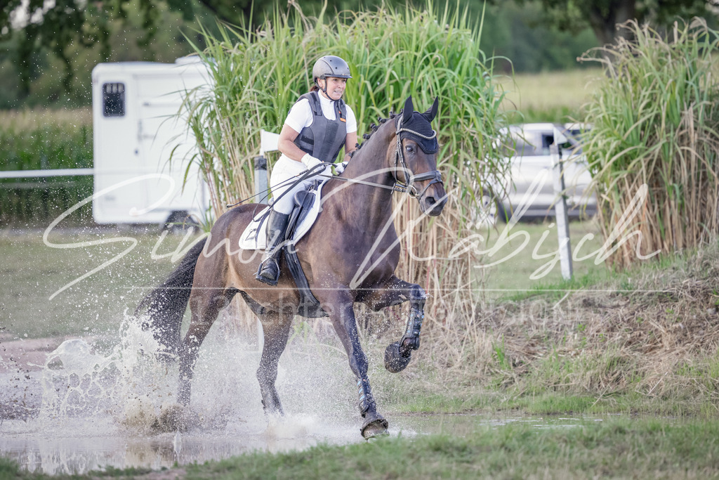 20250906-_3LI7314 | Tierfotografie Pferde, Hunde, Katzen, Haustiere.
Turnierfotografie Reitturniere, Reiten, Springreiten, Dressur in Hanau, dem Main-Kinzig-Kreis und dem Rhein-Main- Gebiet um Frankfurt