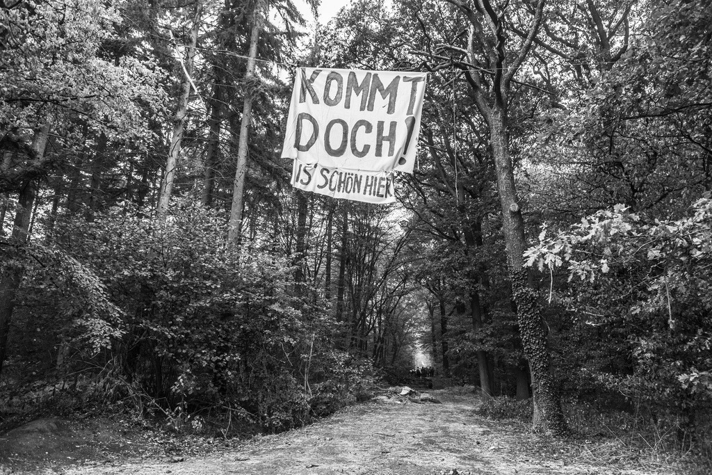 20180913_BL61176 | Hambi, Hambacher Forst 2018 - Realisiert mit Pictrs.com