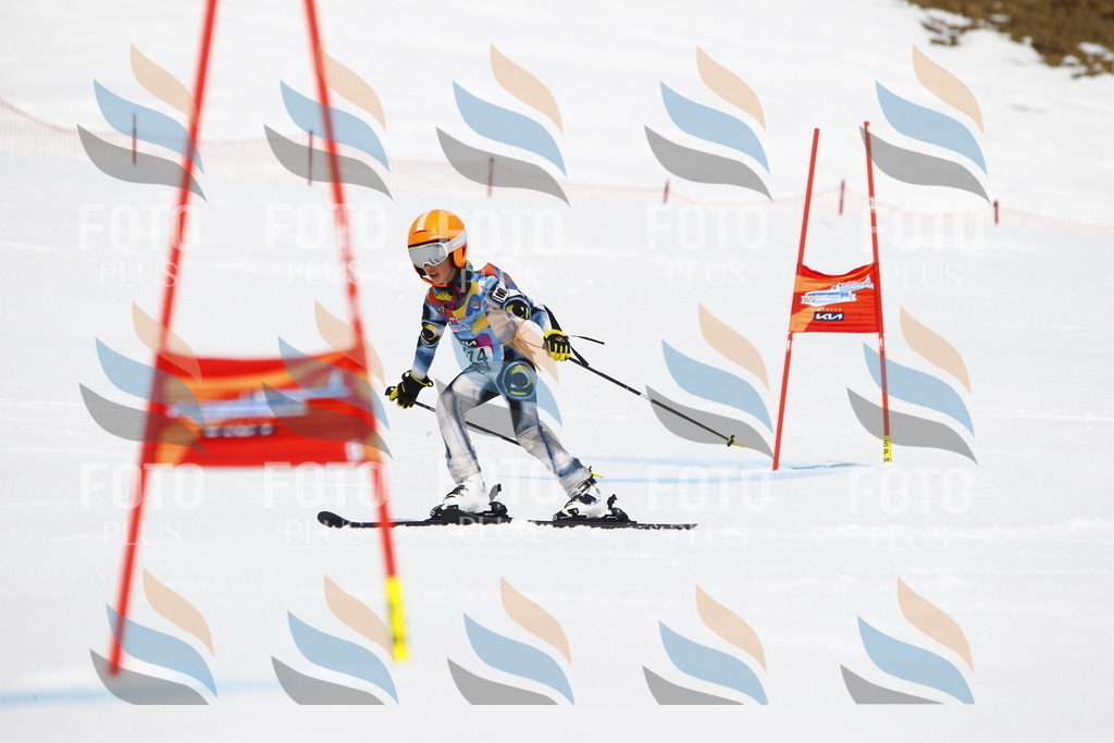 _U3G6856 | holidayphoto