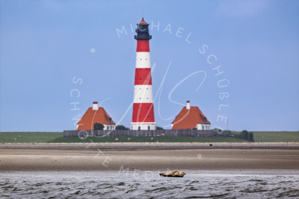 2025-07-23 Westerhever Leuchtturm Seehung 006-Bearbeitet | Schwotte Media - Realisiert mit Pictrs.com