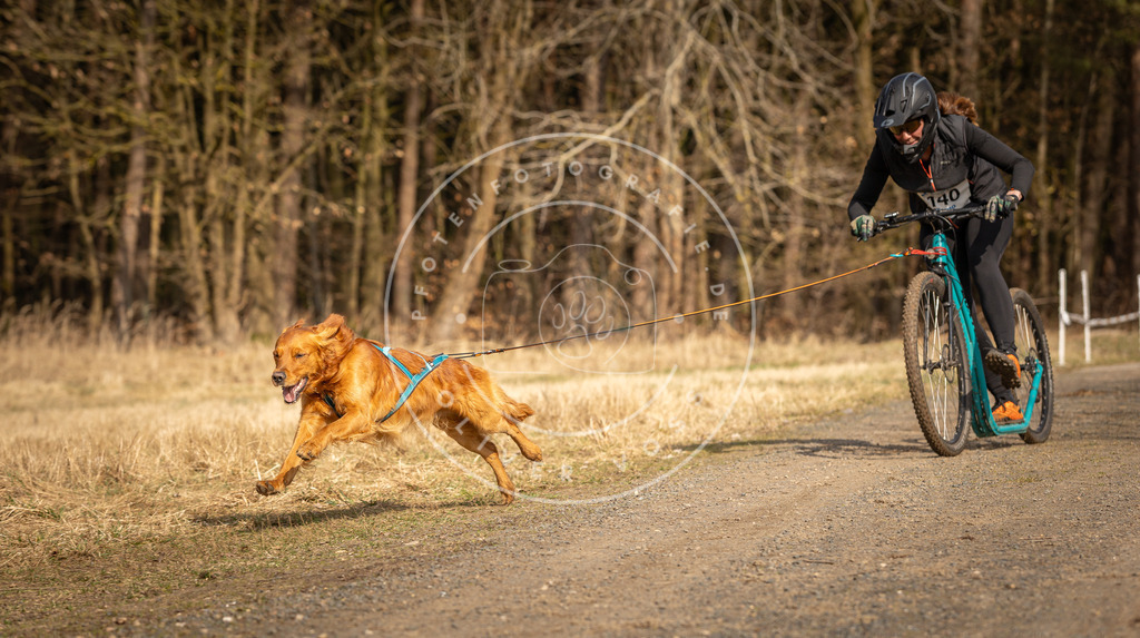 DV3A4753 | Hundefotografie, Tierfotograf, Pfotenfotografie, Fotoshooting Hund, Hunde Portrait, Hundesport, Hundeportraits, Heideshooting, Hunde, Sportfotograf, Hundefotograf, Turnierhundsport, THS,  - Realisiert mit Pictrs.com
