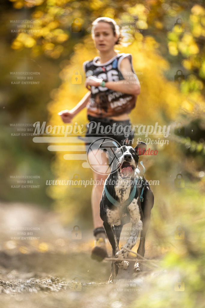 MompixPhotography_ICF_WC_2024_SA_Run_-137 | PayLife