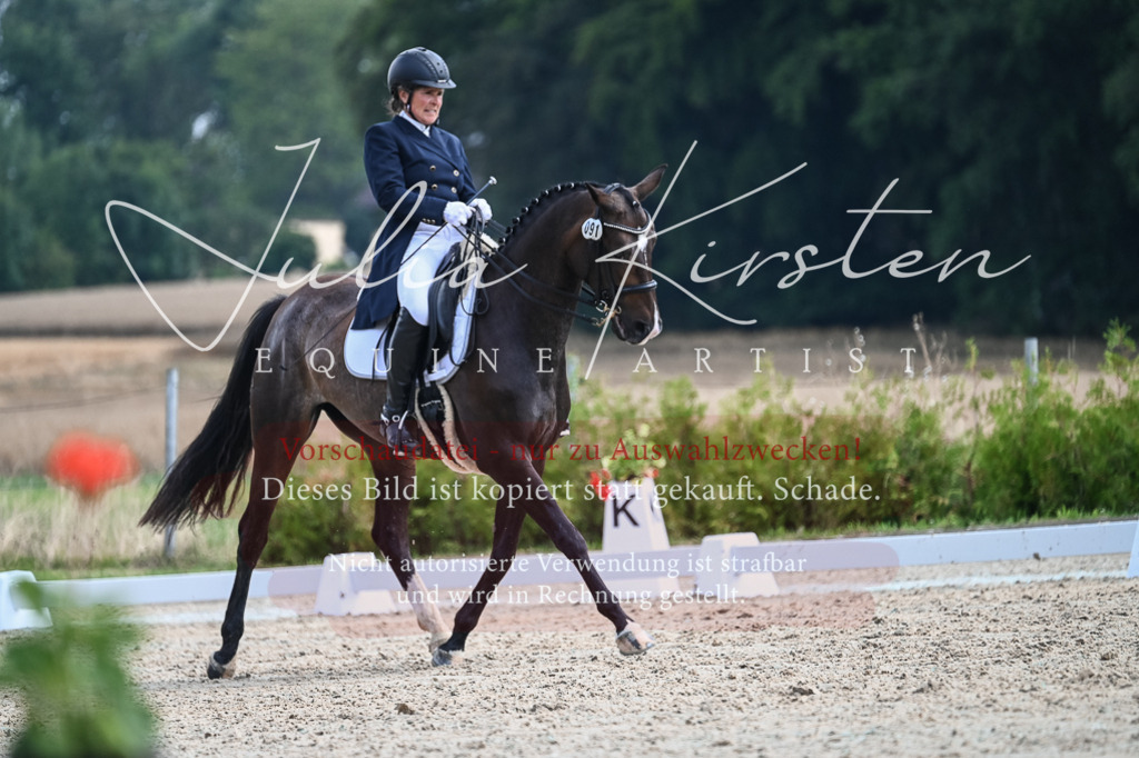 DSC_2236 | Pferde- und Turnierfotografie in Westsachsen. Pferdeportraits, Auftragszeichnungen und intuitive Kunst.