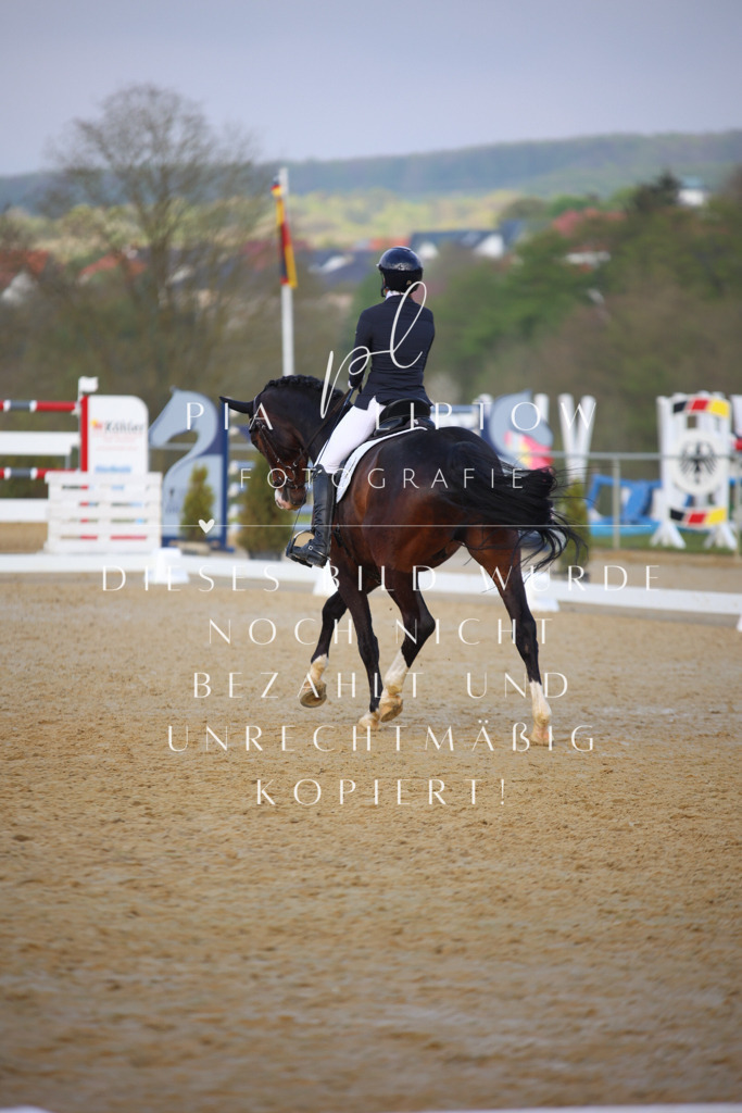 IMGT8560 | pl-fotografie