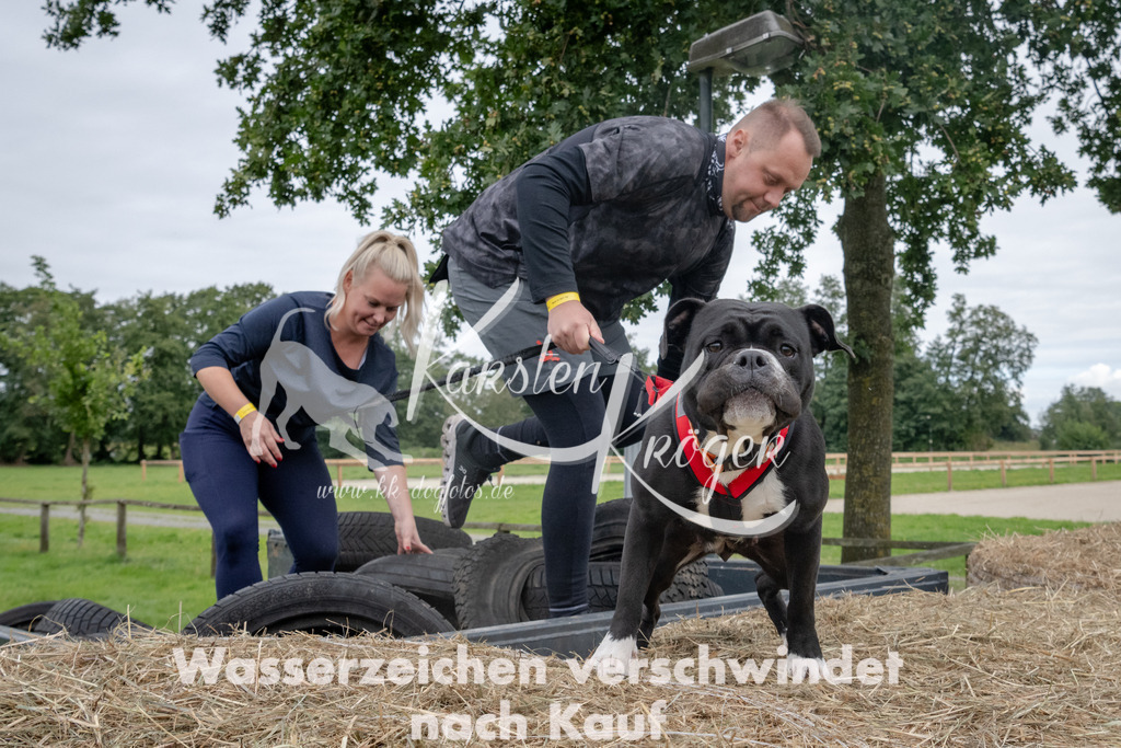 1225_ZZ90636 | kk-dogfotos