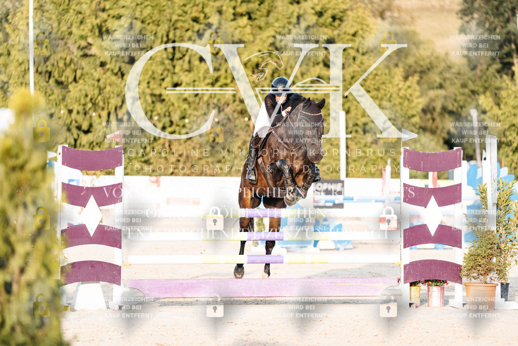 CK900939 | Turnierfotografie Pferdefotografie Trier Rheinland-Pfalz Pferdesport Reitsport Tierfotografie Sportfotografie Pferdevideo Pferdevideografie Equestrianvideography equestrianphotography  - Realisiert mit Pictrs.com