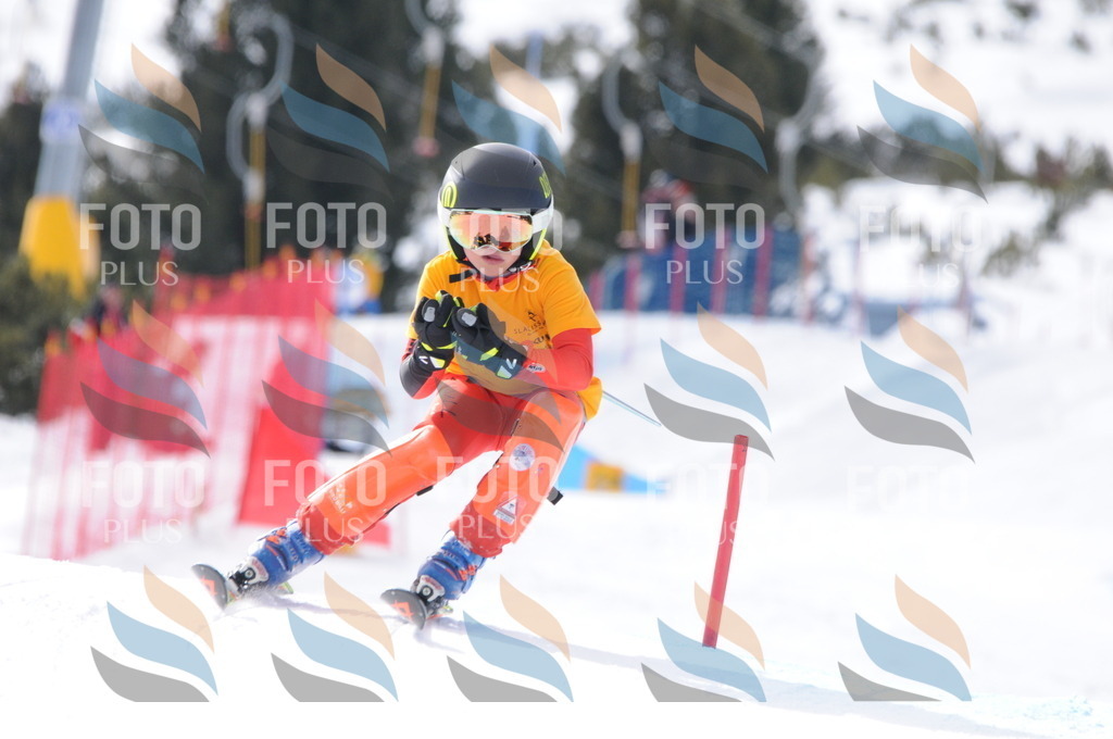 C7530 | holidayphoto