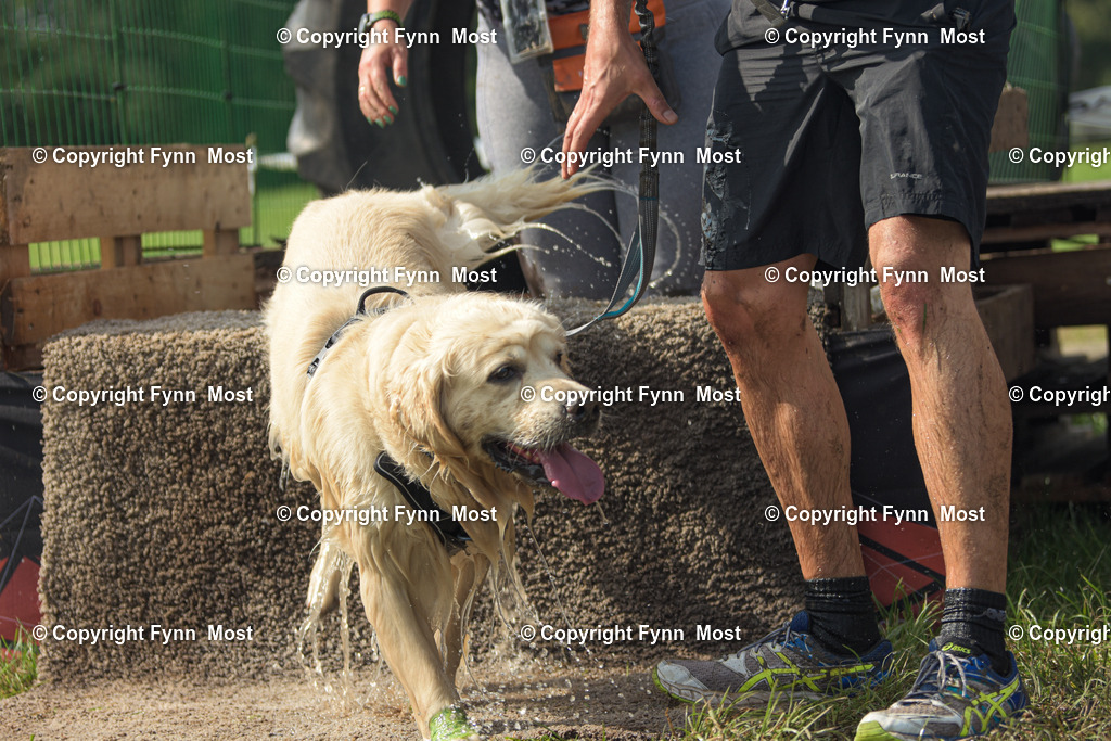 DSC_0884 | Hallo und herzlich Willkommen auf meiner Shop-Seite Fynn Most.

Ich wünsche Dir viel Spaß beim stöbern durch die Bilder, wenn Du Fragen hast oder Bilder vermisst, kannst du mir gerne eine Nachricht schreiben. - Realisiert mit Pictrs.com