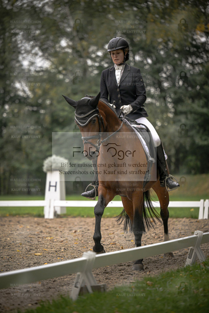 FOTO OGER | Entdecke hochwertige Reitturnierfotos von Foto Oger. Professionell, emotional und authentisch – jetzt Lieblingsmomente im Shop bestellen. - Realisiert mit Pictrs.com