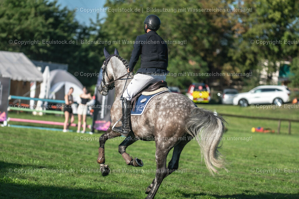 20230908_14-15_Springpferde-A_0020 | equistock