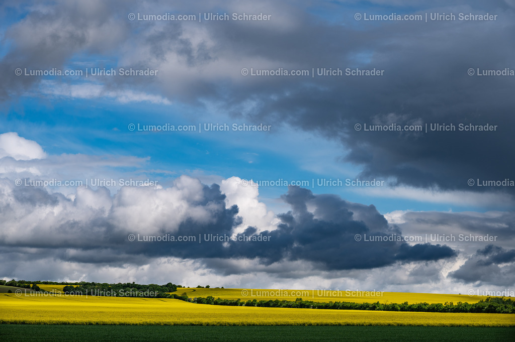 10049-14104 - Frühling am Huy | Stockfoto und Bilderpool mit Bildmaterial aus Deutschland, dem Harz, Halberstadt, Quedlinburg, Wernigerode und weltweit. Qualitativ hochwertige und professionelle Fotos anschauen und kaufen. - Realisiert mit Pictrs.com