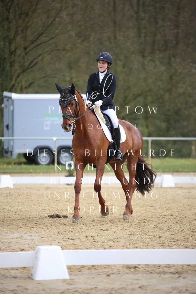 IMGT6715 | pl-fotografie