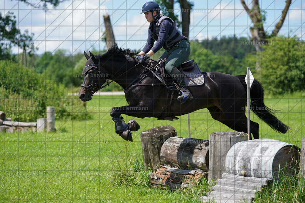 20240622-FAH06860 | Turnierfotografen Bayern, Reitsportbilder aus dem Geländekurs mit Felix Etzel auf dem Gut Waitzacker 2024