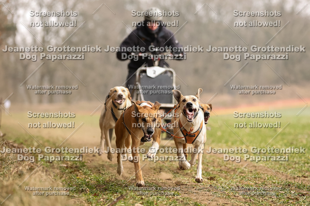 Dog Paparazzi - Plate 2026-95 | Dog Paparazzi Jeanette Grottendiek Fotografie & Videografie - Realisiert mit Pictrs.com