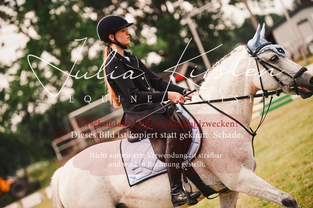 DSC_6937 | Pferde- und Turnierfotografie in Westsachsen. Pferdeportraits, Auftragszeichnungen und intuitive Kunst.