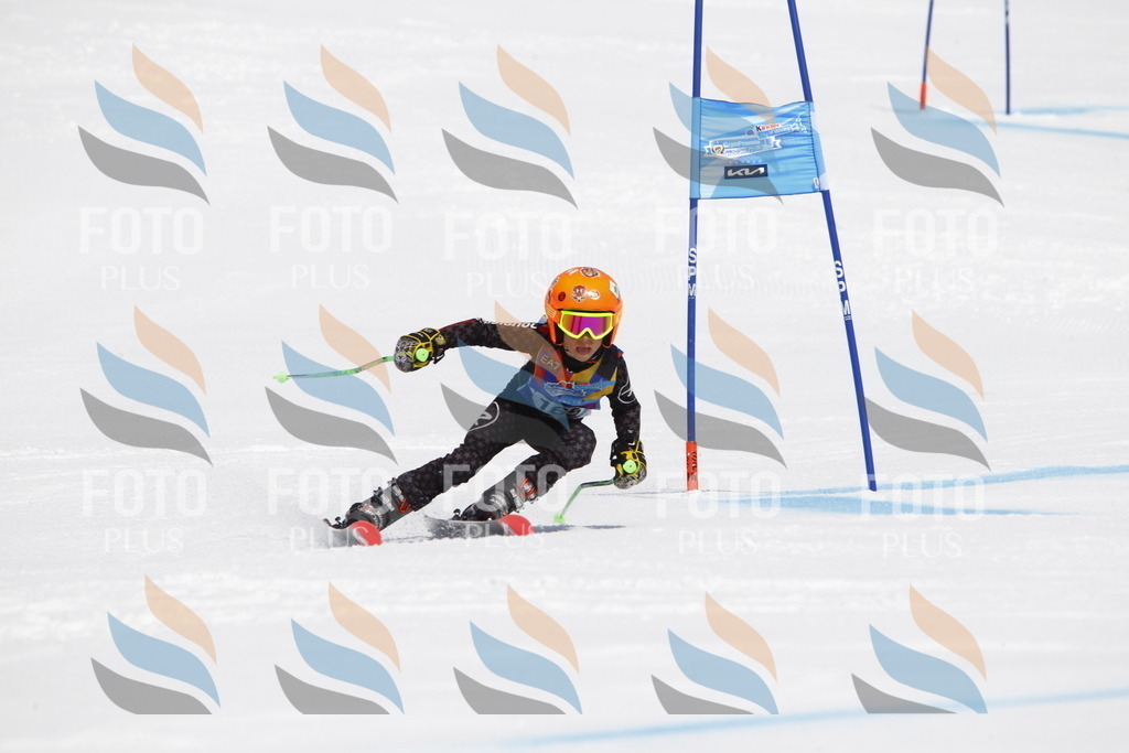 _U3G4434 | holidayphoto