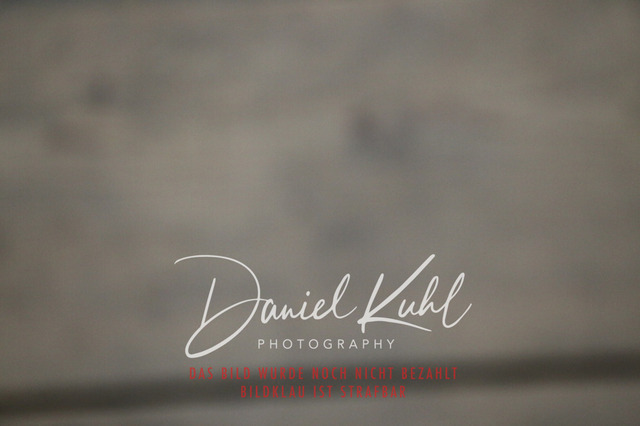 IMG_0699 | Turnierfotos kaufen im Webshop von Daniel Kuhl Photography – entdecke professionelle Reitsportfotos aus Turnieren & Events. Hochwertige Turnierbilder online bestellen & sichern. Jetzt Fotos von Reitsportturnieren kaufen!