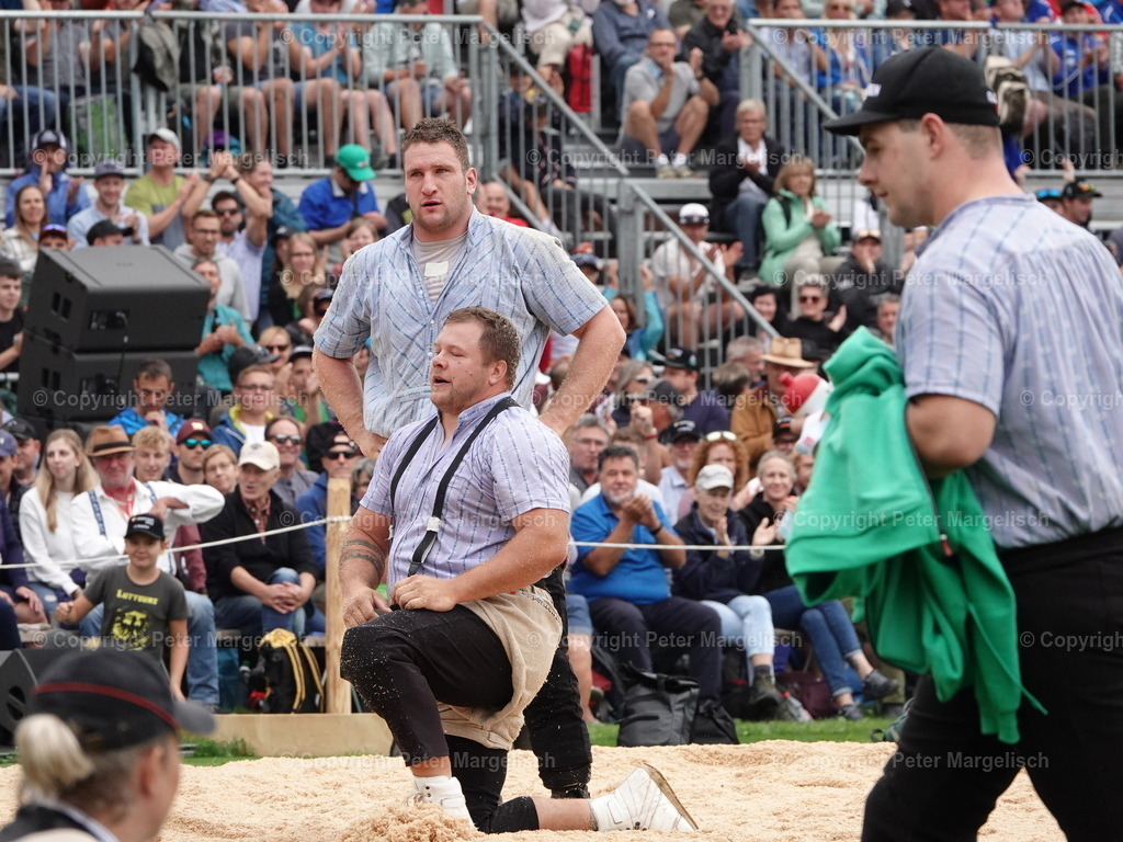 DSC08385 | Schwingen - Realized with Pictrs.com