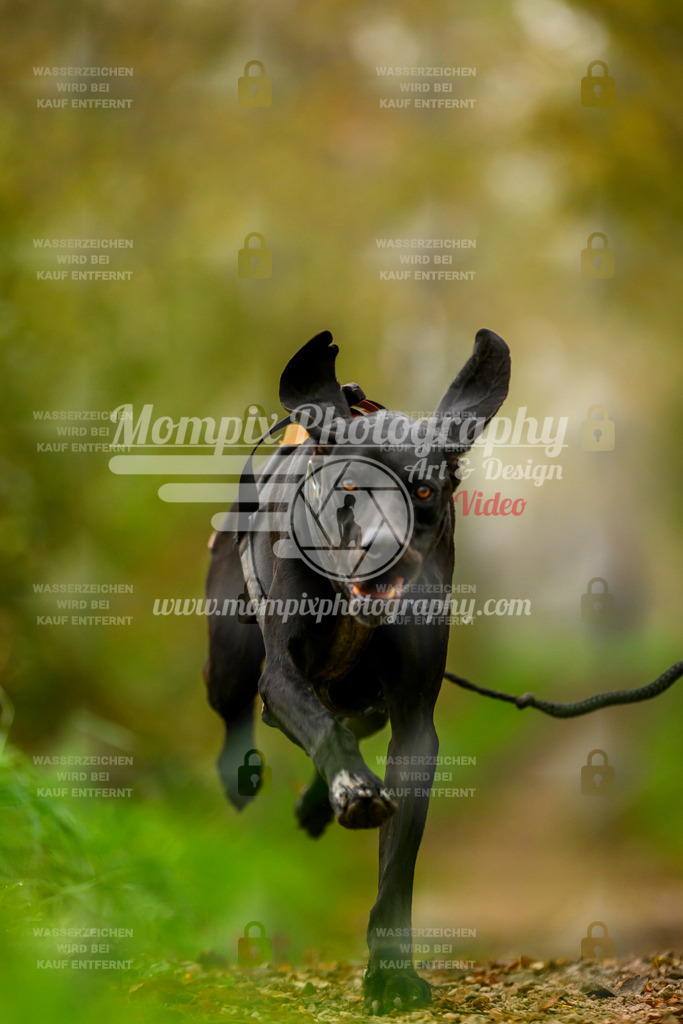 MompixPhotography_20TSB_E6_Bike-137 | PayLife