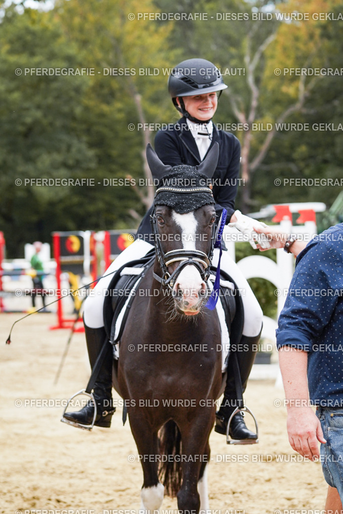 DSC06115 | Pferdegrafie