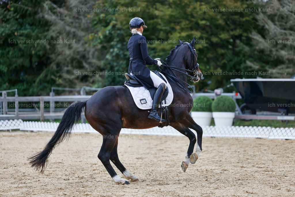 8_1-104-Klasse S_  -StoibPH-3896 | working equitationturnier fotograf videograf stoibphotography marixx film working equitation deutschland reitsport turnierfotografie eventfotografie equestrian events