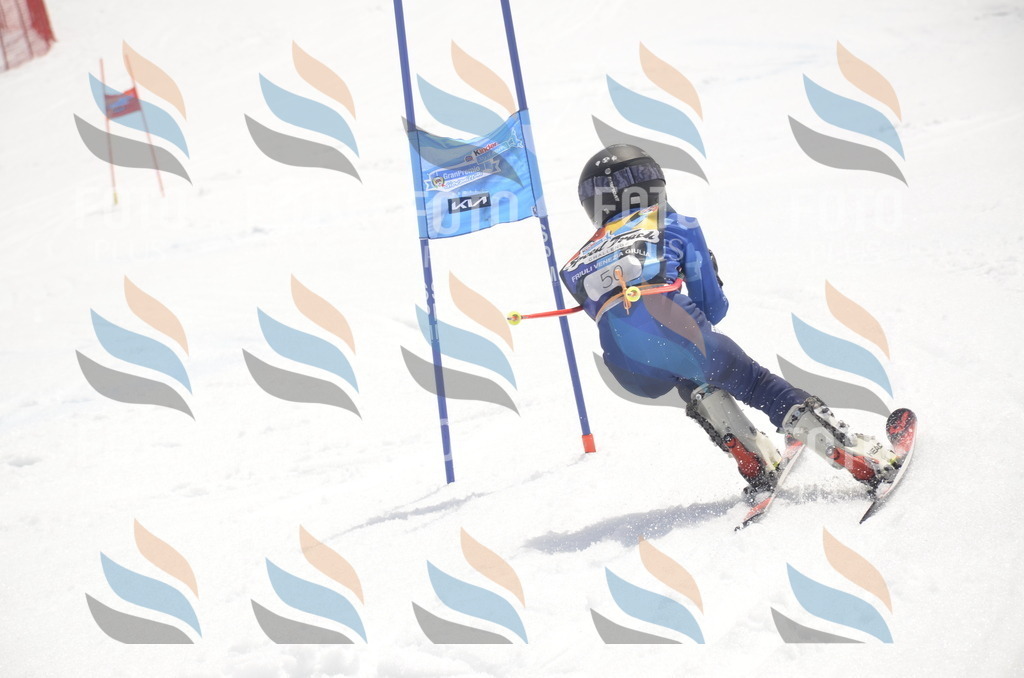 _ELE8816 | holidayphoto