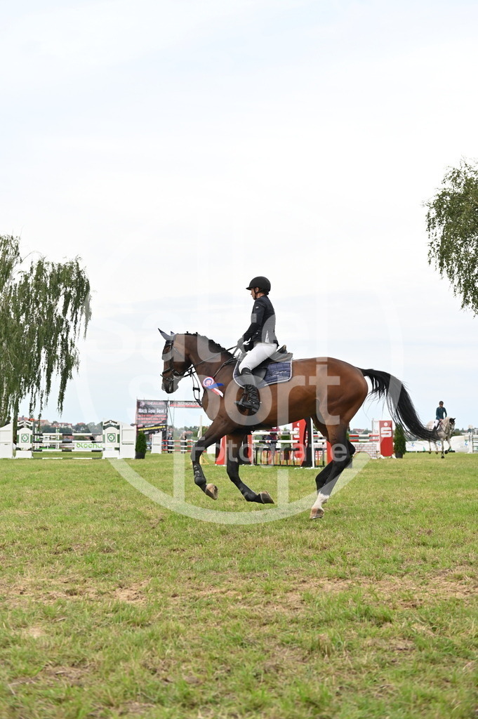 DSC_4017 | sattelsport - Realisiert mit Pictrs.com