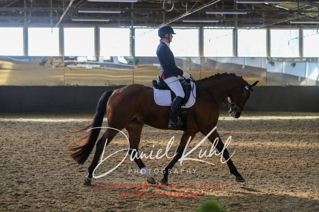 IMG_2242 | Turniersportfotografie; Pferdefotografie; Dressurfotografie