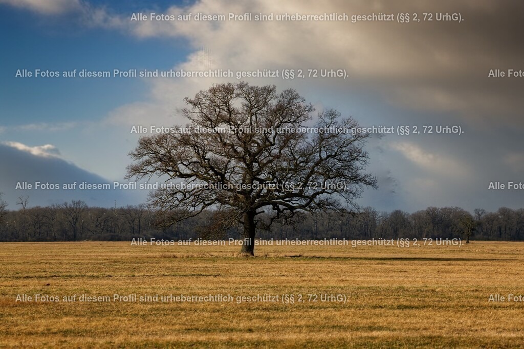 1P5A5756_4 | krollfotografie - Realisiert mit Pictrs.com