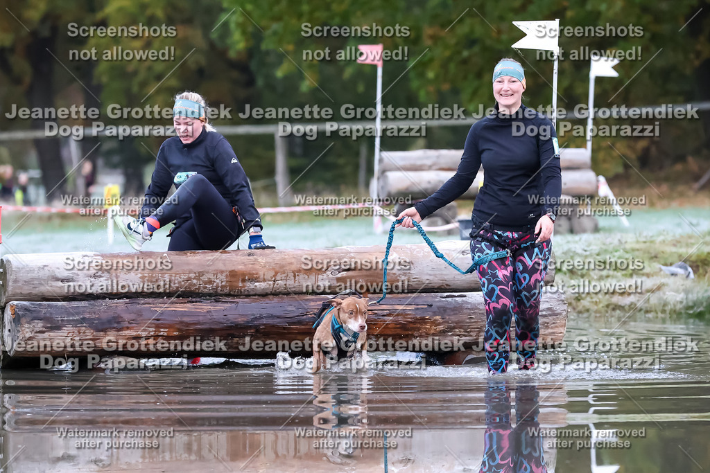 Dog Paparazzi - Strongdog 10-25-6086 | Dog Paparazzi Jeanette Grottendiek Fotografie & Videografie - Realisiert mit Pictrs.com