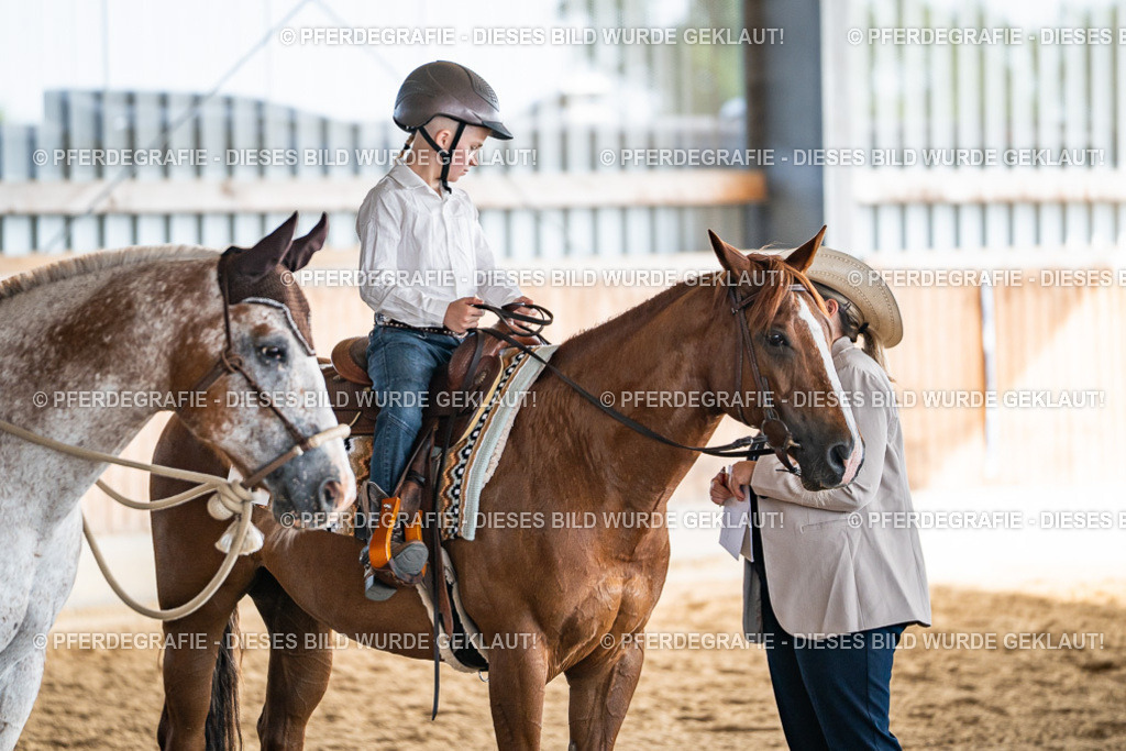 DSC08678 | Pferdegrafie