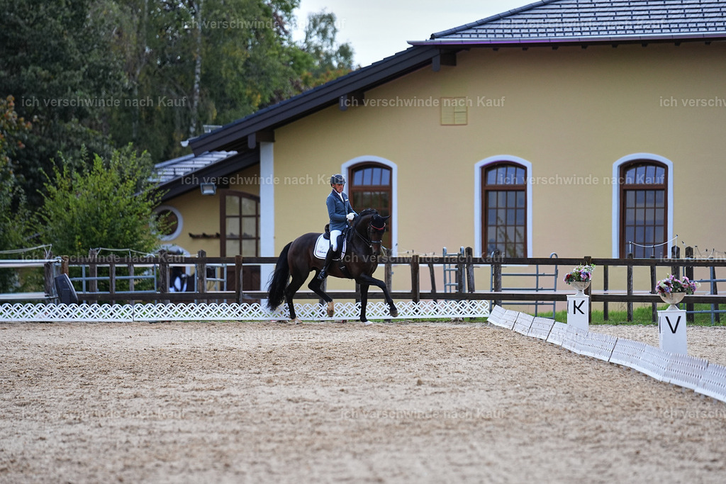 8_2-102-DRESSUR S_  -Marixx-4612 | working equitationturnier fotograf videograf stoibphotography marixx film working equitation deutschland reitsport turnierfotografie eventfotografie equestrian events