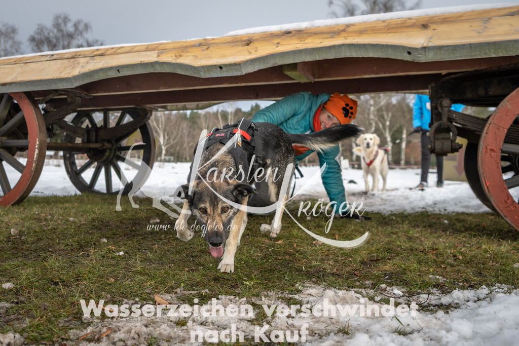 0931_ZZ90636 | kk-dogfotos