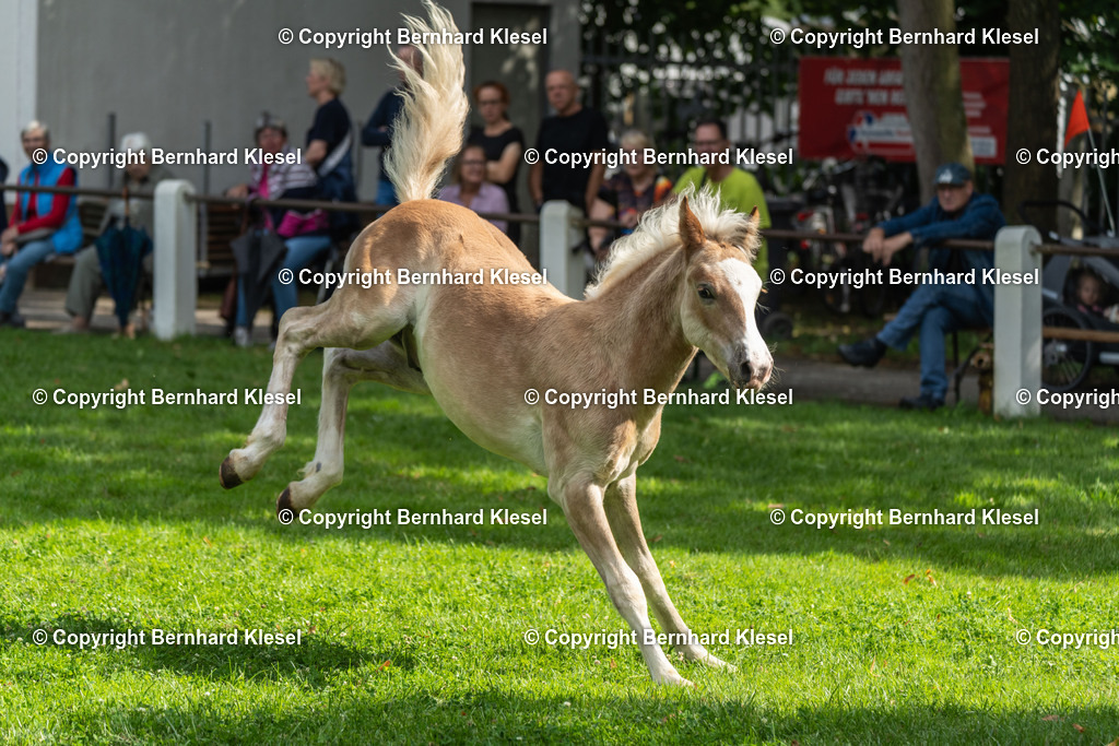 _DSC1508 | foto-team-bernhard - Realisiert mit Pictrs.com