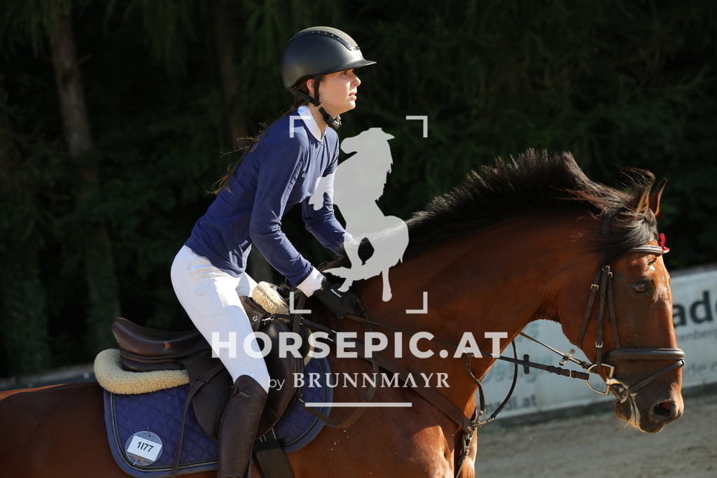 0P6A2180 | Willkommen bei Brunnmayr - Design & Fotografie – Ihrem Spezialisten für Reitturniere und Pferdeveranstaltungen in Oberösterreich, Salzburg und Bayern! Seit über 17 Jahren sind wir leidenschaftlich dabei.