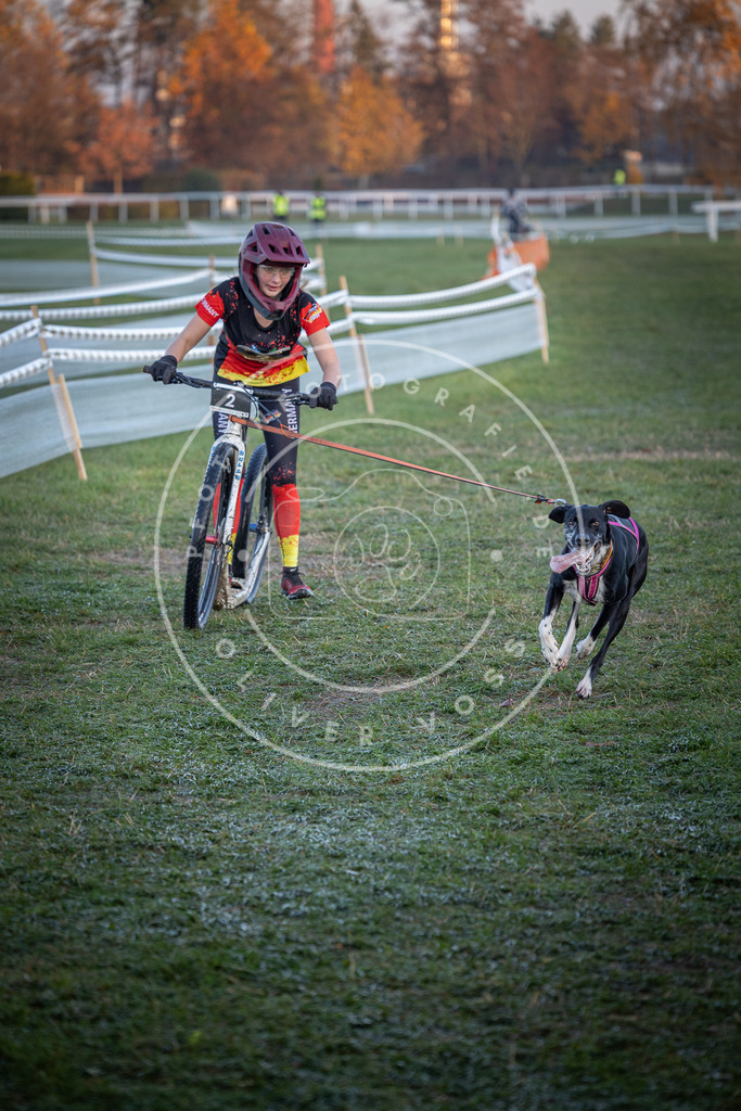CaniXpix_0L8A0979 | Hundefotografie, Tierfotograf, Pfotenfotografie, Fotoshooting Hund, Hunde Portrait, Hundesport, Hundeportraits, Heideshooting, Hunde, Sportfotograf, Hundefotograf, Turnierhundsport, THS,  - Realisiert mit Pictrs.com