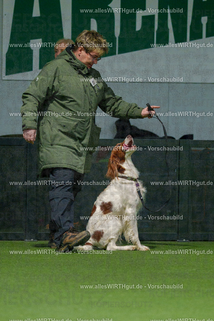 7R504777 | Professionelle Tierfotografie in Mönchengladbach von Daniel Wirth (allesWIRTHgut). Liebevolle & natürliche Bilder von Hunden & Katzen für unvergessliche Erinnerungen.