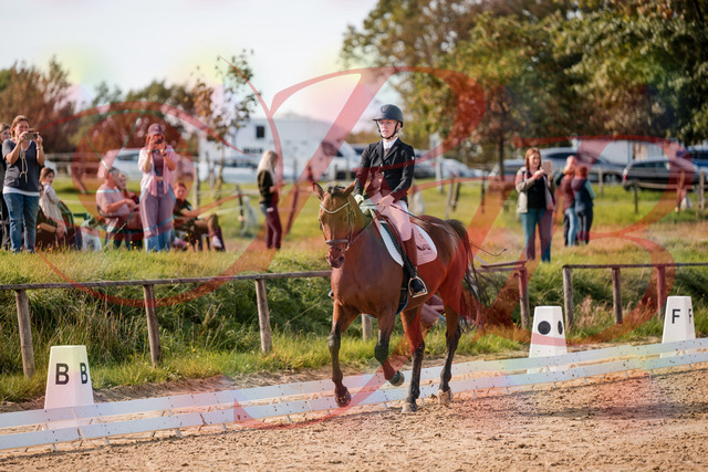 2026_10_03_Siefer-Hof_131047_Z63_74109666 | Professionelle Reitsport-, Turnier- und Eventfotografie von Robert Broda. Galerien mit ausgewählten und bearbeiteten Bildern direkt online ansehen und bestellen.