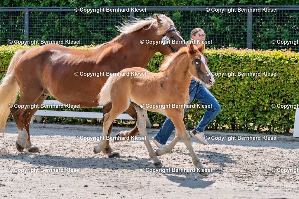 2A900046 | foto-team-bernhard - Realisiert mit Pictrs.com