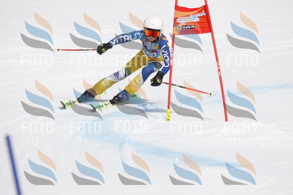 _U3G2441 | holidayphoto