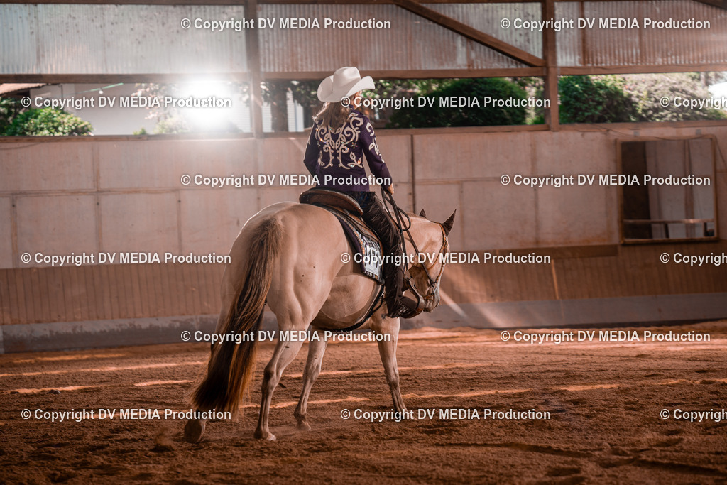 NE100348 | dv-media-shop - Realisiert mit Pictrs.com